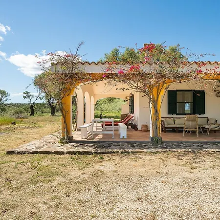 Sae Grecu In By Interhome Appartement