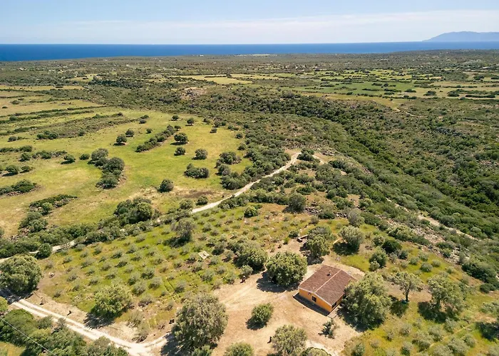 Sae Grecu In By Interhome * Orosei